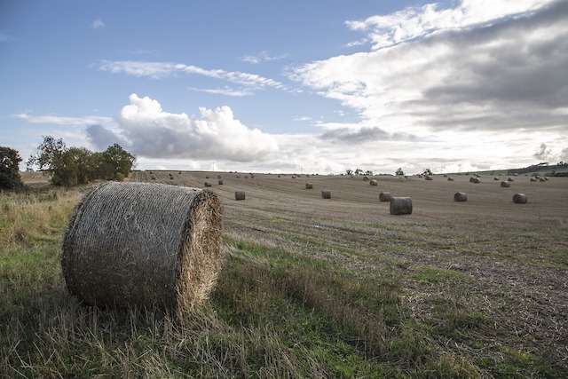 bales of hay on farmland during divorce and the family business