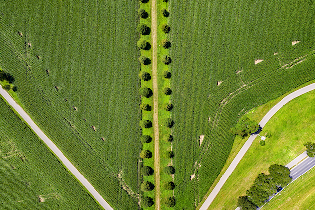 field from above with two paths converging to represent mediation vs arbitration