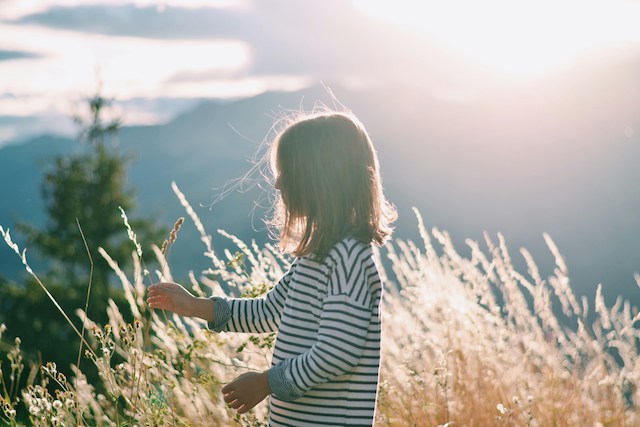 child in wheat field representing the subject how to win full custody in divorce