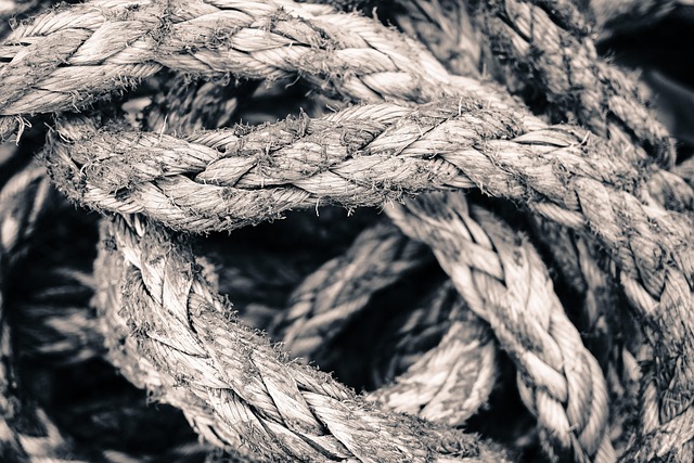 black and white image of tangled knots in rope, representing the unpicking of child maintenance loopholes