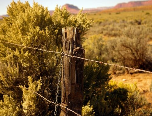 Child Maintenance Above the CMS Cap: A Guide for High Earners