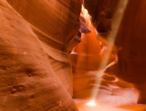 Form E in Divorce: What it Is, What it Covers, and What Happens Next